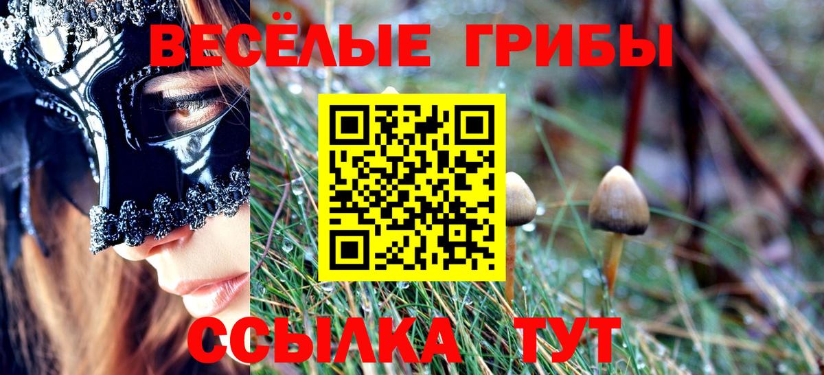 Псилоцибиновые грибы Psilocybine cubensis  Вход с VPN  Орехово-Зуево 