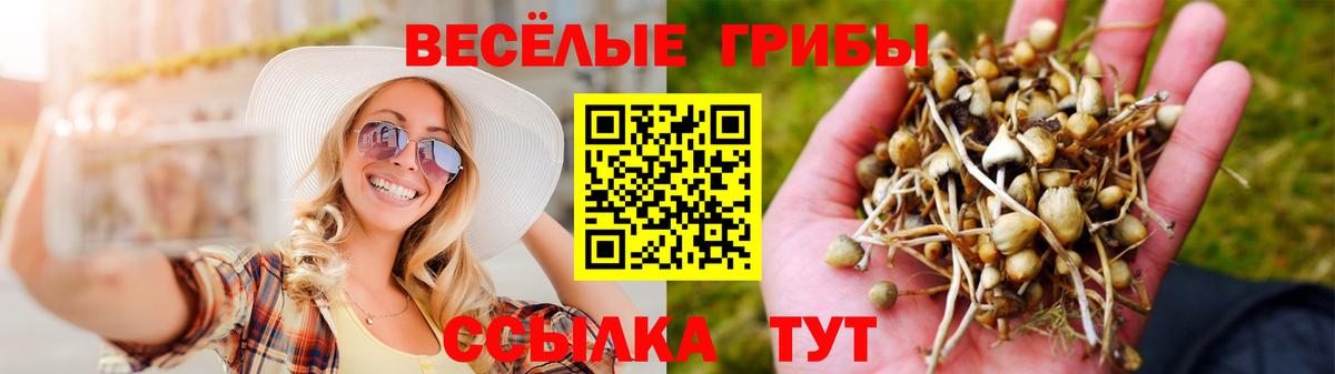 Галлюциногенные грибы GOLDEN TEACHER Орехово-Зуево